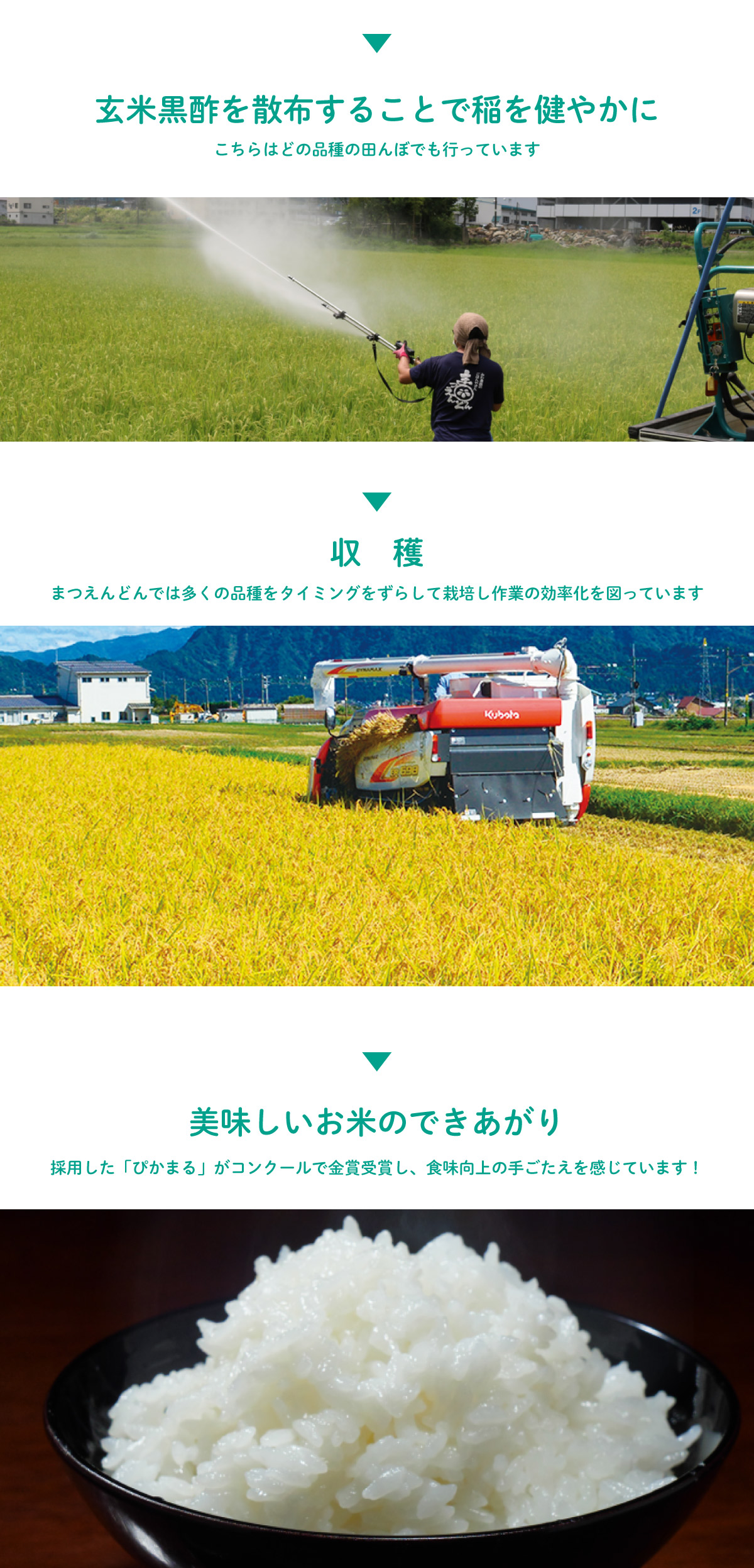 ユーグレナ肥料の使い方と効能02