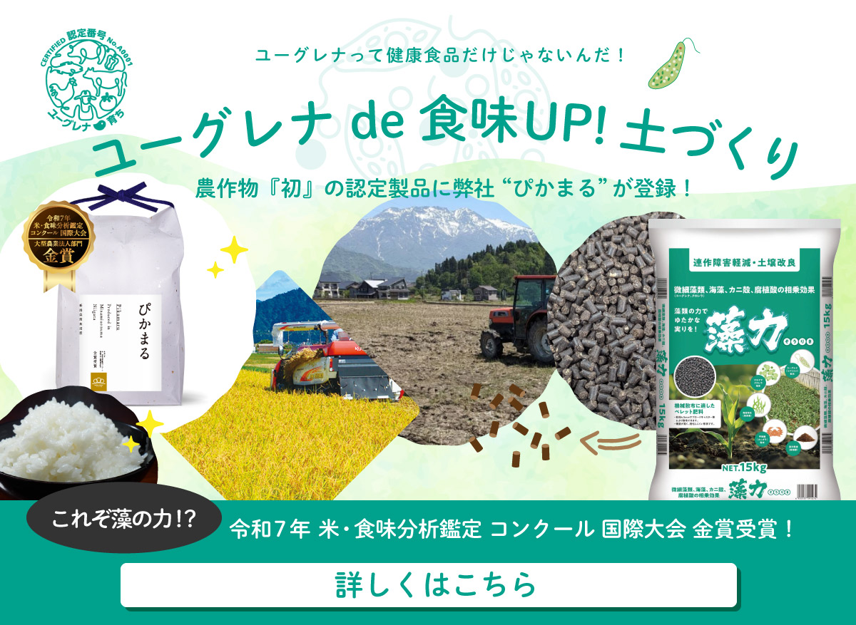 ユーグレナについて